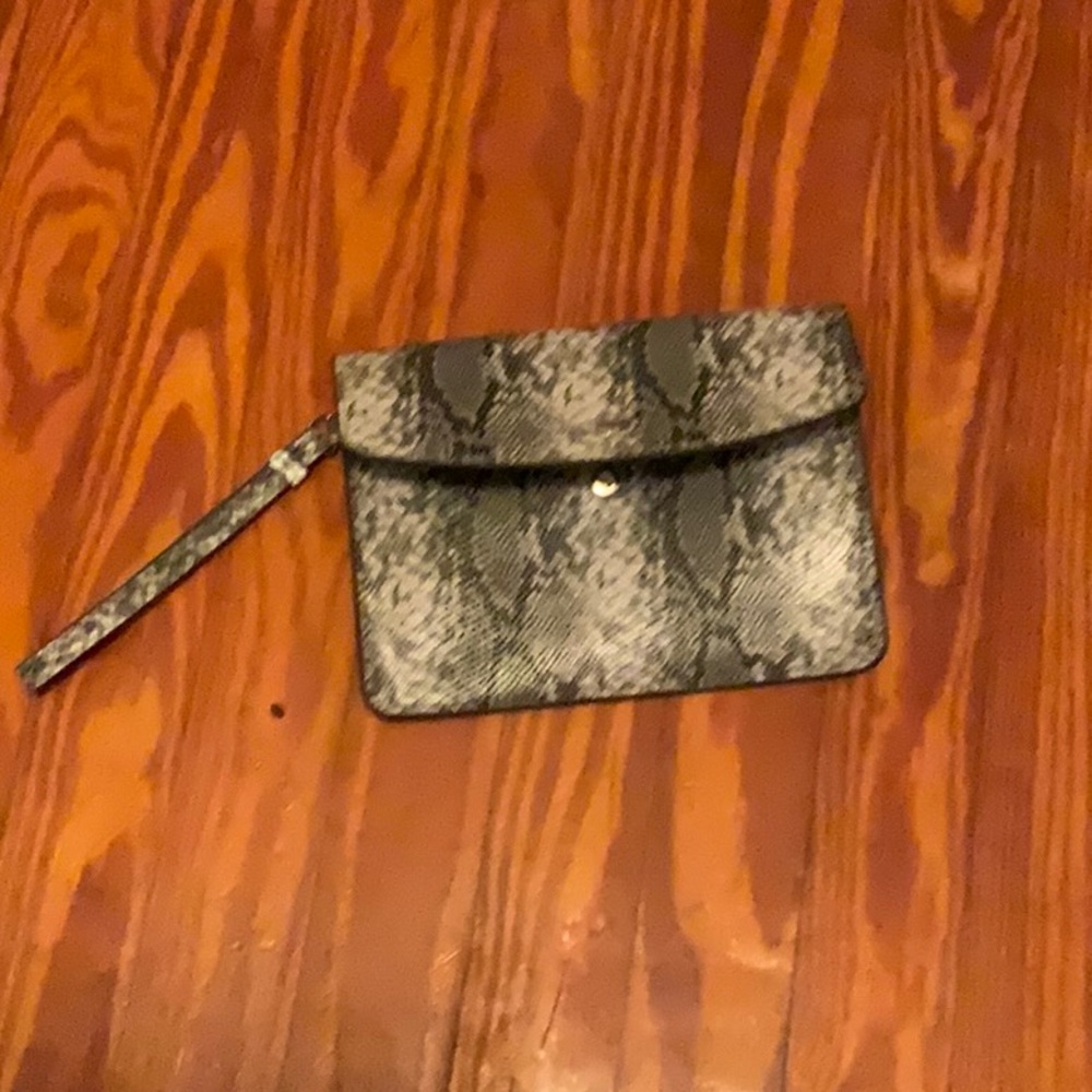 Ann Taylor Snake Skin Clutch